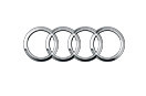 Auto Electronic services for: AUDI